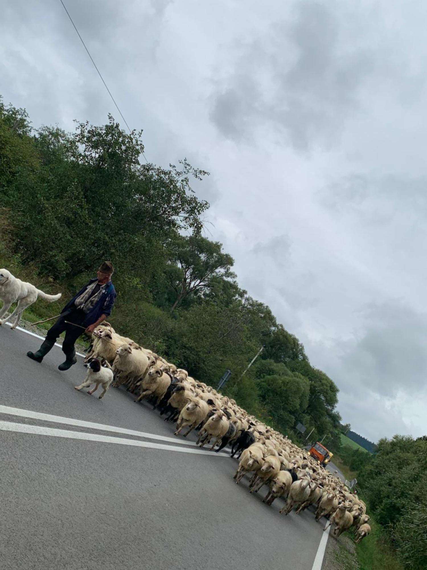 Agroturystyka Dor-Ali U Ali Zubracze Kültér fotó